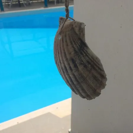 Renia * Agia Pelagia